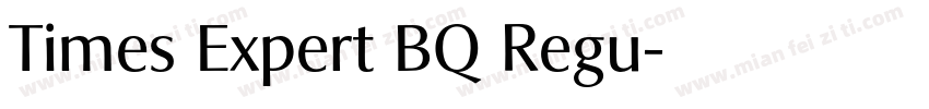 Times Expert BQ Regu字体转换